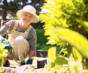 gardening and dementia how it can benefit you gardening-and-dementia-how-it-can-benefit-you Arbour care