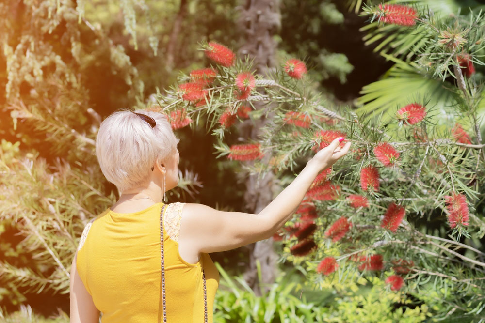 How to Design a Sensory Garden for Dementia Patients