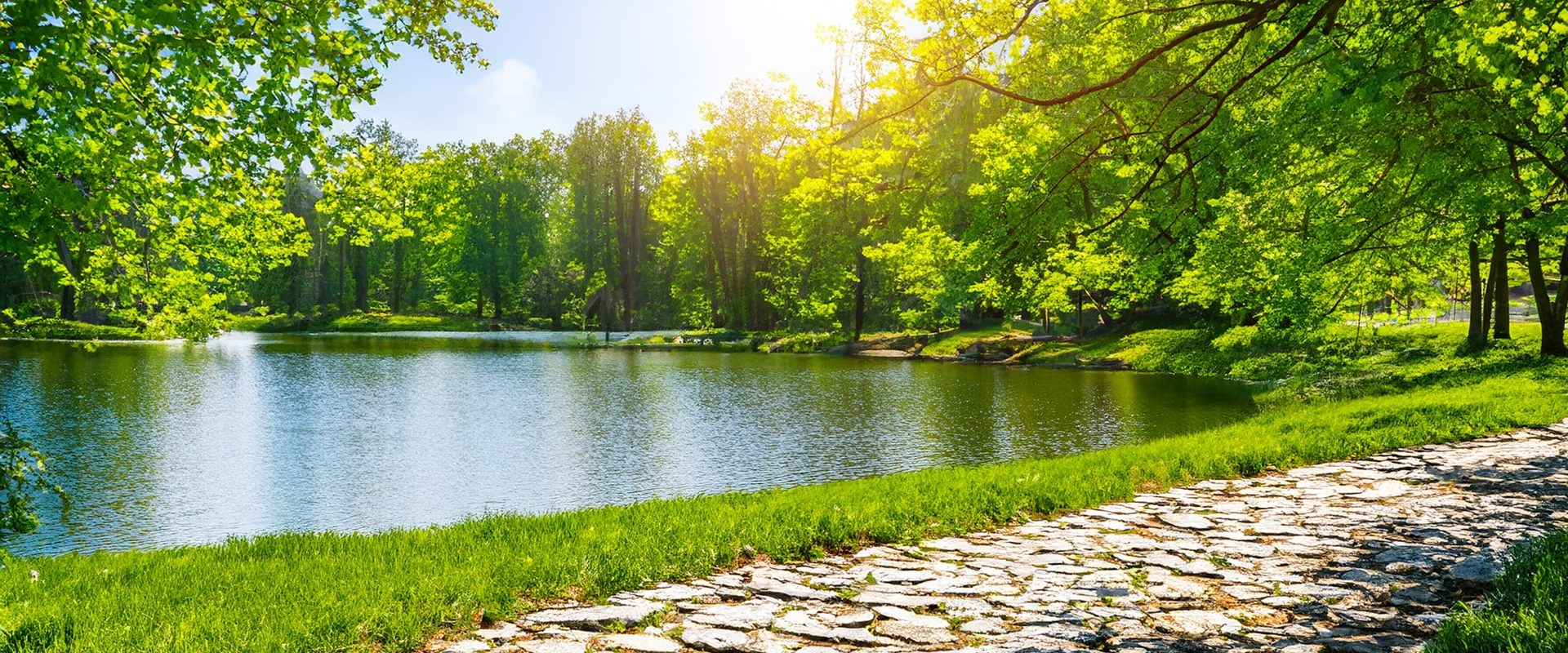 How to Design a Sensory Garden for Dementia Patients
