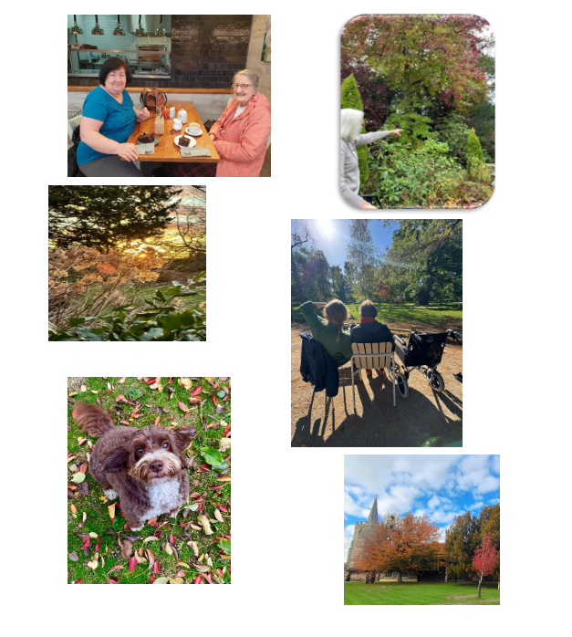 Autumn Newsletter 2025