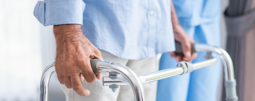 How to Design a Sensory Garden for Dementia Patients