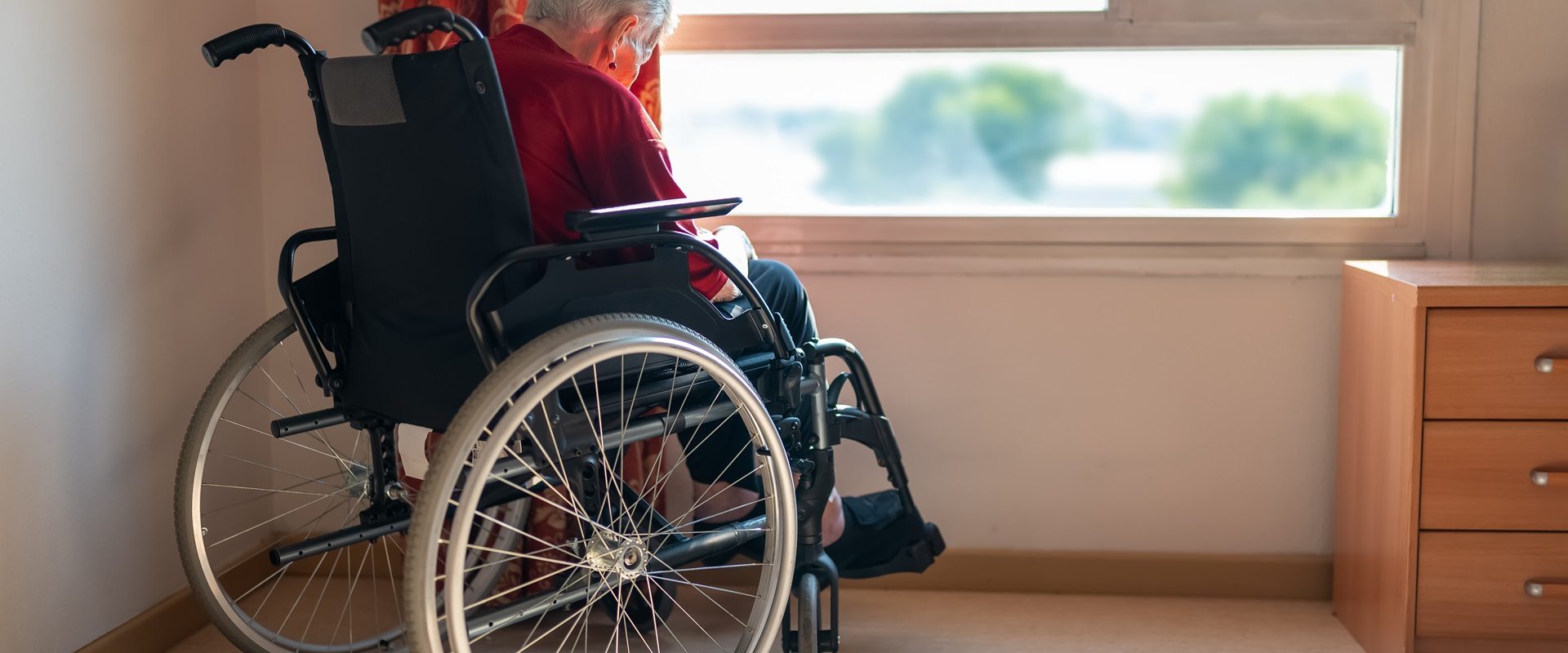 How to Design a Sensory Garden for Dementia Patients